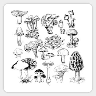 Mushroom Illustrations Magnet